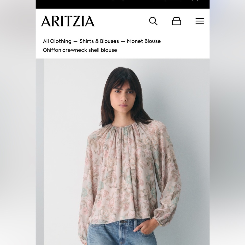 Aritzia Chiffon Blouse - Cream and Pink Floral